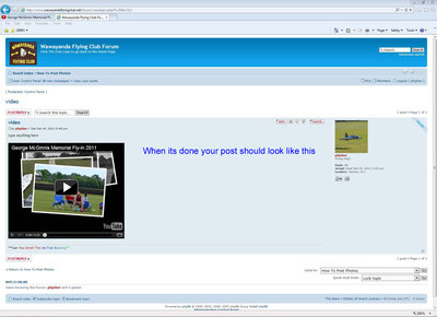 Capture 6 copy.jpg