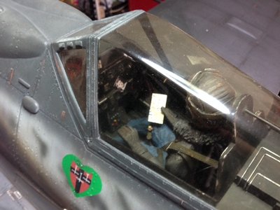pilot canopy.JPG